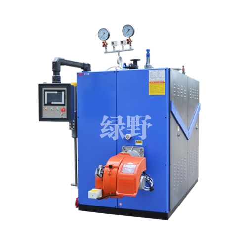 750KG燃氣蒸汽發生器