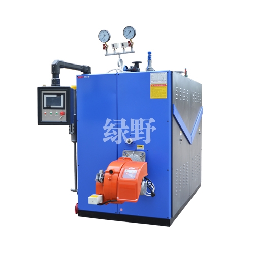 1000KG燃氣蒸汽發生器